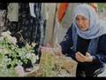HASAN DURSUN - ANNECİĞİM 