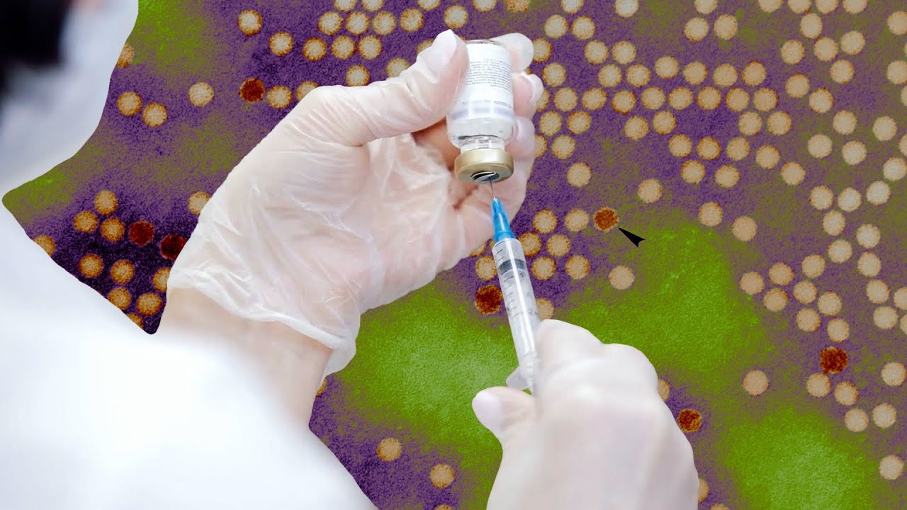 How We Develop New Vaccines (Explained By A Vaccine Scientist) | Encyclopaedia Britannica