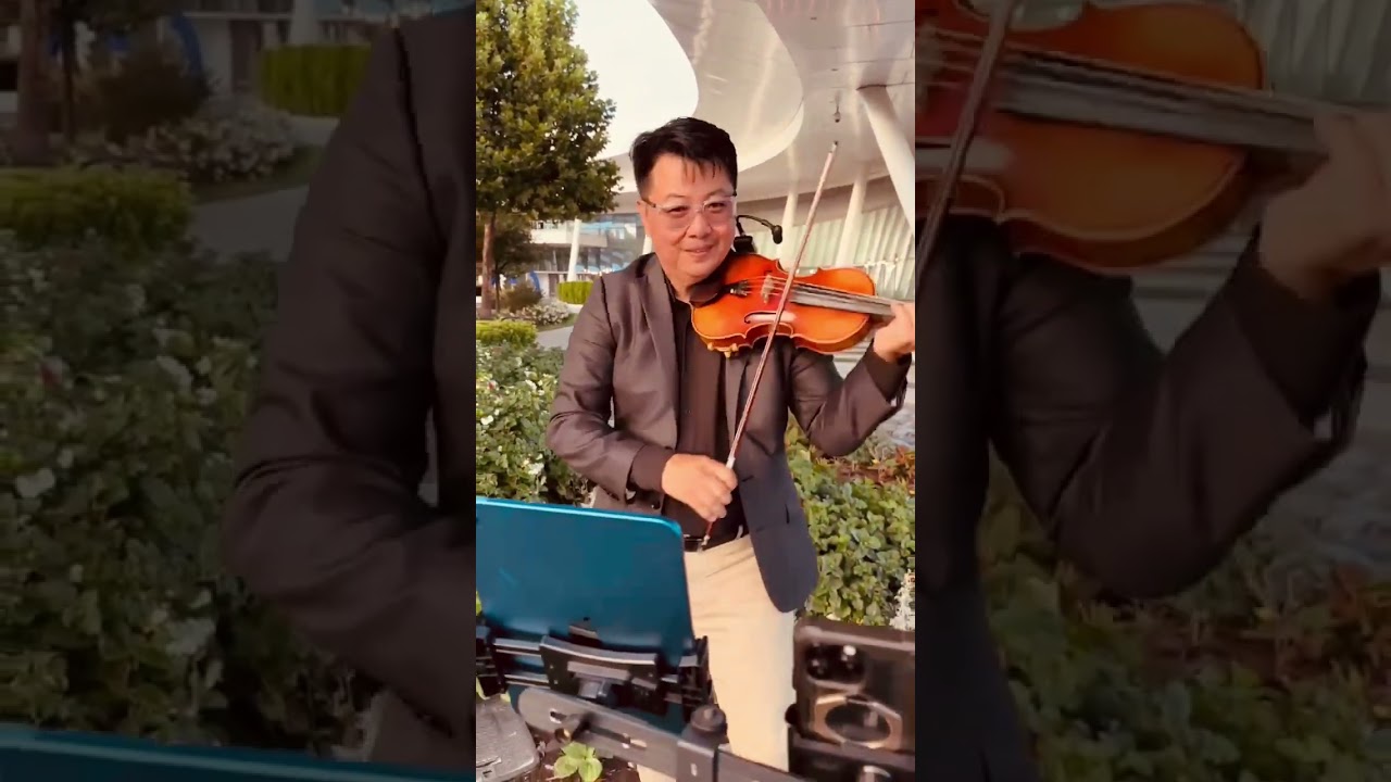 Promotional video thumbnail 4 for One Violinist