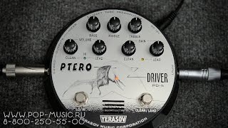 Video thumbnail for Эффект гитарный YERASOV PTERODRIVER PD-5 by PopMusicRu