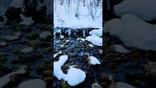 吹き出し公園 후키다시공원 200217