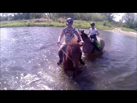 Stajnia Żerniki - Dolina Nidy