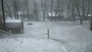 pedro the lion - i am always the one who calls (legendado pt/br)