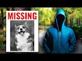 Scammers Are Now Coming After Lost Dogs?!