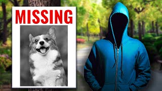 Scammers Are Now Coming After Lost Dogs?!