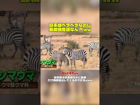 それなwww🤣 #面白い #お笑い #日本 #japan #japaneseculture #shorts