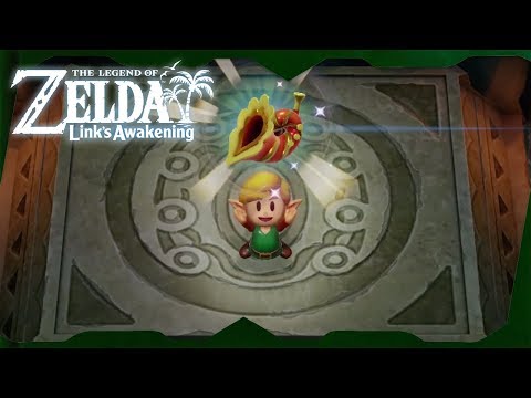 Bottle Grotto Dungeon Walkthrough | Zelda: Link's Awakening for Switch ᴴᴰ