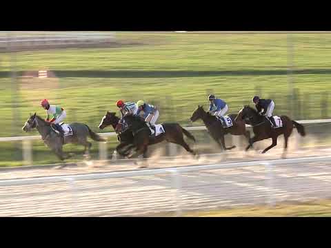 2020.11.29. 08. futam - HORÁK JÁNOS EMLÉKVERSENY HENDIKEP (II.o.)(szintetikus pálya)