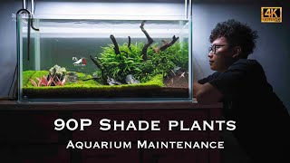 [問題] 好清理的圓筒過濾