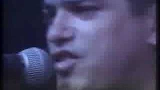 Radio Futura directo el canto del gallo