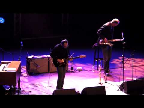 FGI 2013 - Biréli Lagrène (9) - Mercy Mercy Mercy (Joe Zawinul)