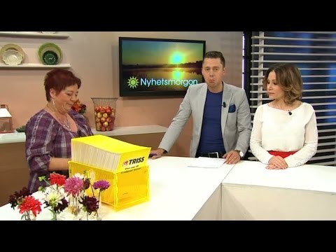 Anita Grundström skrapar triss - Nyhetsmorgon (TV4)