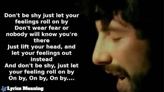 Cat Stevens - Don&#39;t Be Shy | Lyrics Meaning