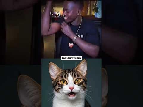 DAY-1 BRO OWN THE DARKNESS 😂 #cat #funny #memes #trending #shorts