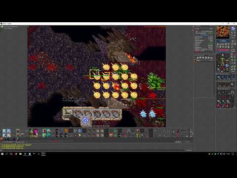 Tibia | Premia | 672 EK | Riidz