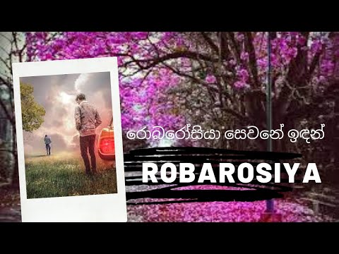 Robarosiya sewane indan