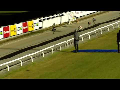 20221231 12. futam - Szilveszteri Nagydíj