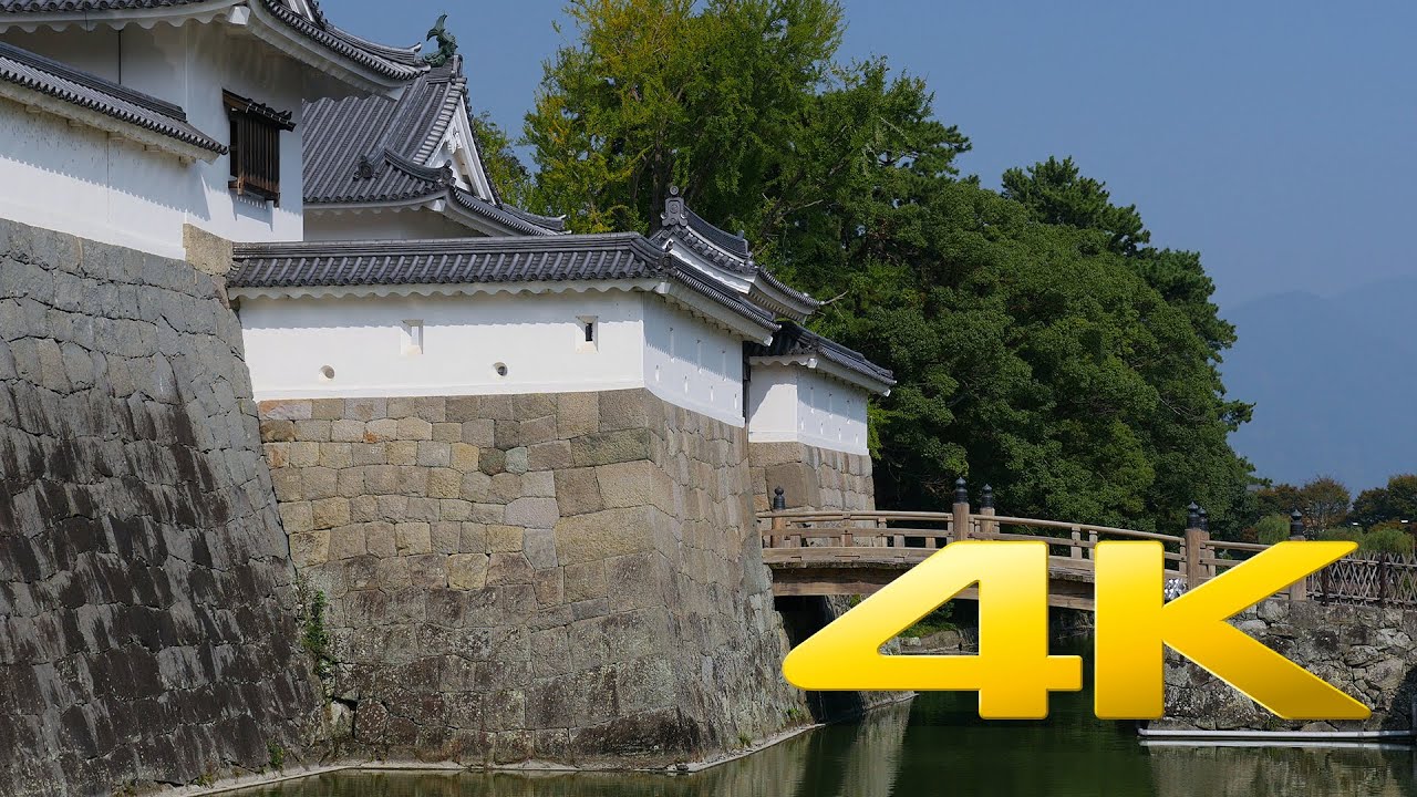 Sunpu Castle and Momijiyama Garden