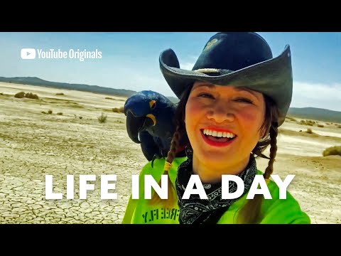 Life in a Day 2020 Trailer