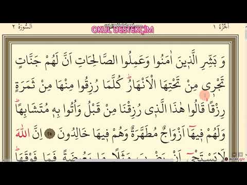 Quran Course | 7.Ders