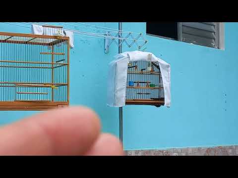 encarte com capa ou sem capa?