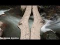 OCOLUL PAMANTULUI IN 5 MINUTE Around The World Time Lapse