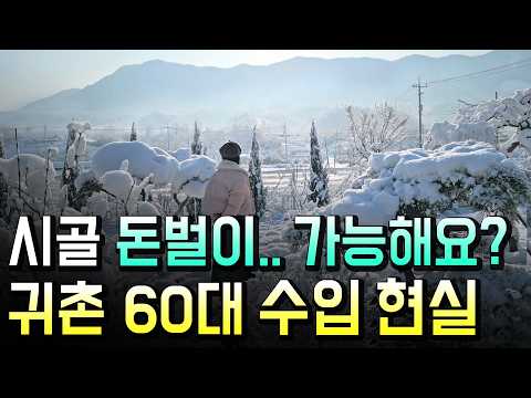 귀촌 30대, 농사 안 짓고 노년까지 나홀로 시골에서 돈 버는 법..낱낱이 공개합니다