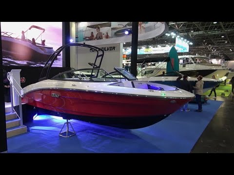 6.5m Day boat SPX210 by SeaRay 2023