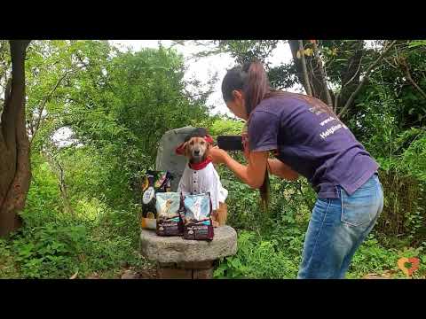 We Can't Help Animals Without People