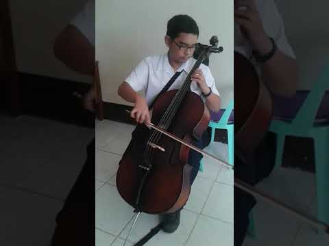 Despacito - Luis Fonsi  (cello cover) by kurt