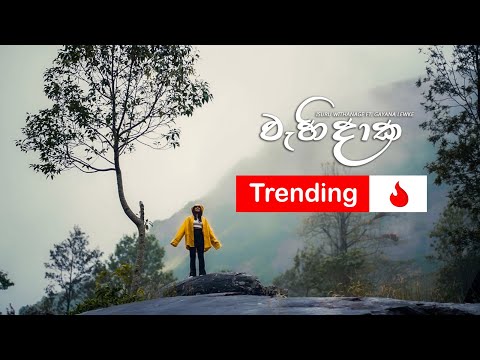 ISURU WITHANAGE - Wahidaka (වැහිදාක) ft. Gayana Lewke | OFFICIAL MUSIC VIDEO