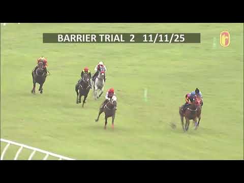11 NOV 2025 BARRIER TRIAL 2