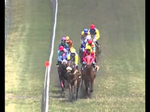 SMS Pariaz Video Meeting 33 Race 3 - 2013