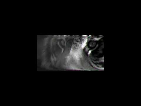 [FREE] 6lack x Amir Obe X Eli Sostre Type Beat // "Power"