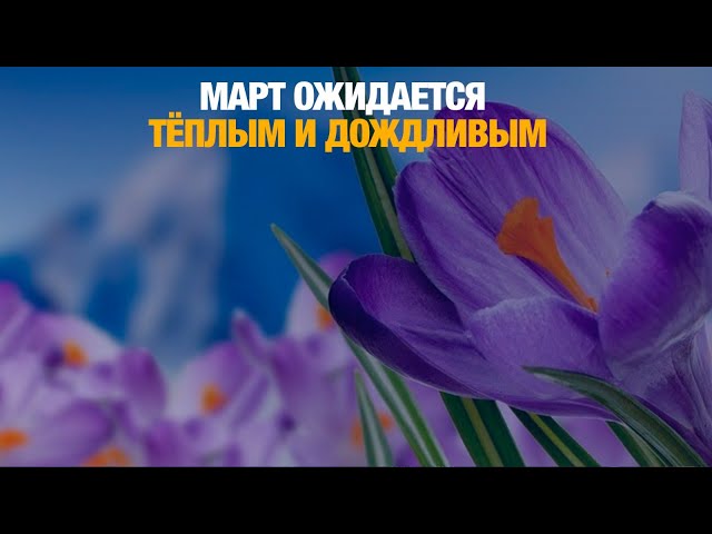 Паводковый период: март ожидается тёплым и дождливым