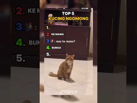 TOP 5 Kucing Ngomong #shorts #shortvideo #viral #ngakak #top5 #memes #random #videolucu #kocak