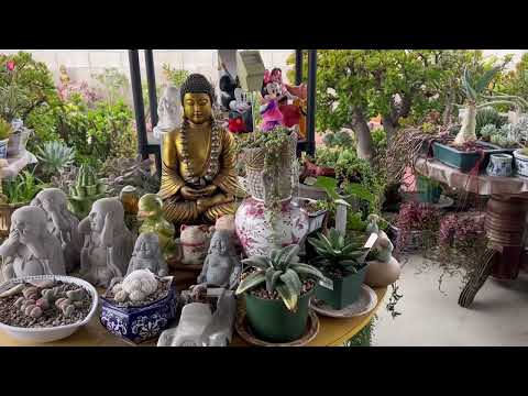 Kay's Garden - After a super hot summer - A Rainy Day in October 2022