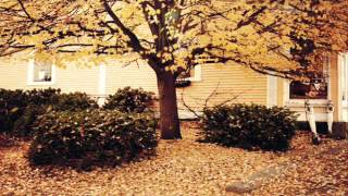 The Magnetic Fields - I Don&#39;t Want to Get Over You (subtítulos en español)