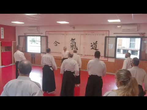 Aikido seminar Italy 2020, day 2