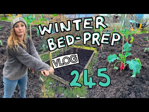 Winter Bed Prep - Clearing and Mulching. + Pruning the Grapevine! Ep245 || Plot 37