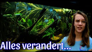 LEVENSlessen uit het AQUARIUM + Waarom ik STOPPEN moet met Streamen... //Nickey//
