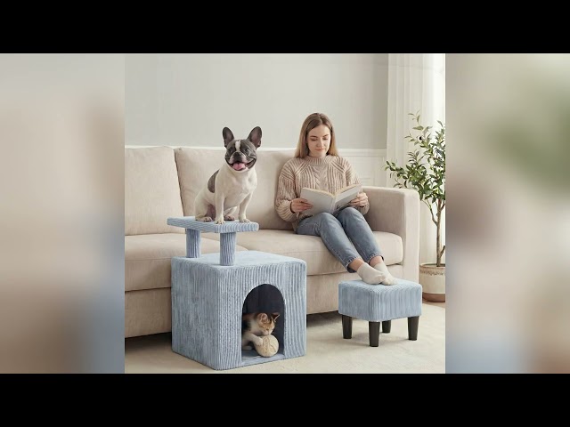 Veehoo Dog & Cat Stairs with Cave Condo