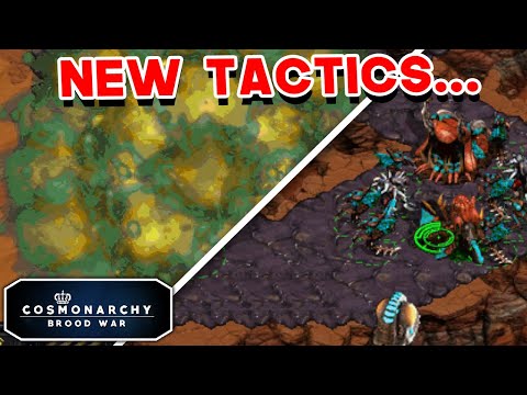 Nuclear Nyduses?! | neblime vs Hamster | CMBW