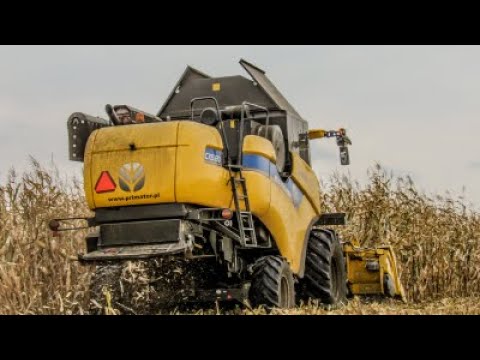 ✩ KOSZENIE QQ NA ZIARNO// CX W AKCJI ✓ GR RADZISZEWSKI & F.H.U ROLMIX✩