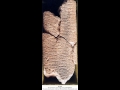 The World's Oldest Surviving Music from circa 1950 BC