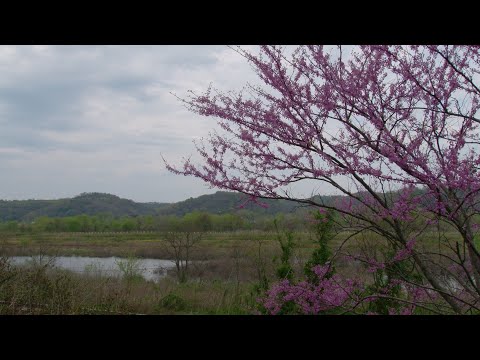 Environment Matters - World Wetlands Day
