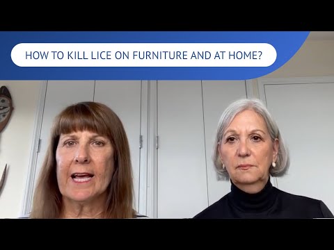 How To Kill Lice on Furniture and at Home? | LiceDoctors