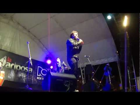 COMO ELLA NINGUNA  TINTO