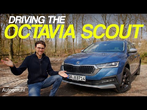 SUV? Crossover estate party! with the Skoda Octavia Scout REVIEW