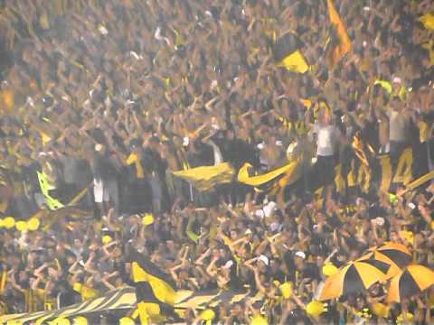 "Hoy te vinimos a ver, Barra Amsterdam" Barra: Barra Amsterdam &bull; Club: Peñarol